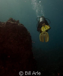Dive leader.  Kohala Divers. by Bill Arle 